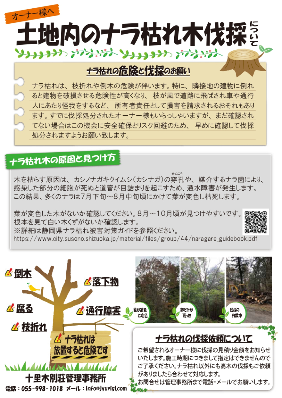 ナラ枯れの伐採をお願いします | お知らせ・イベント情報 | 愛鷹つつじ 